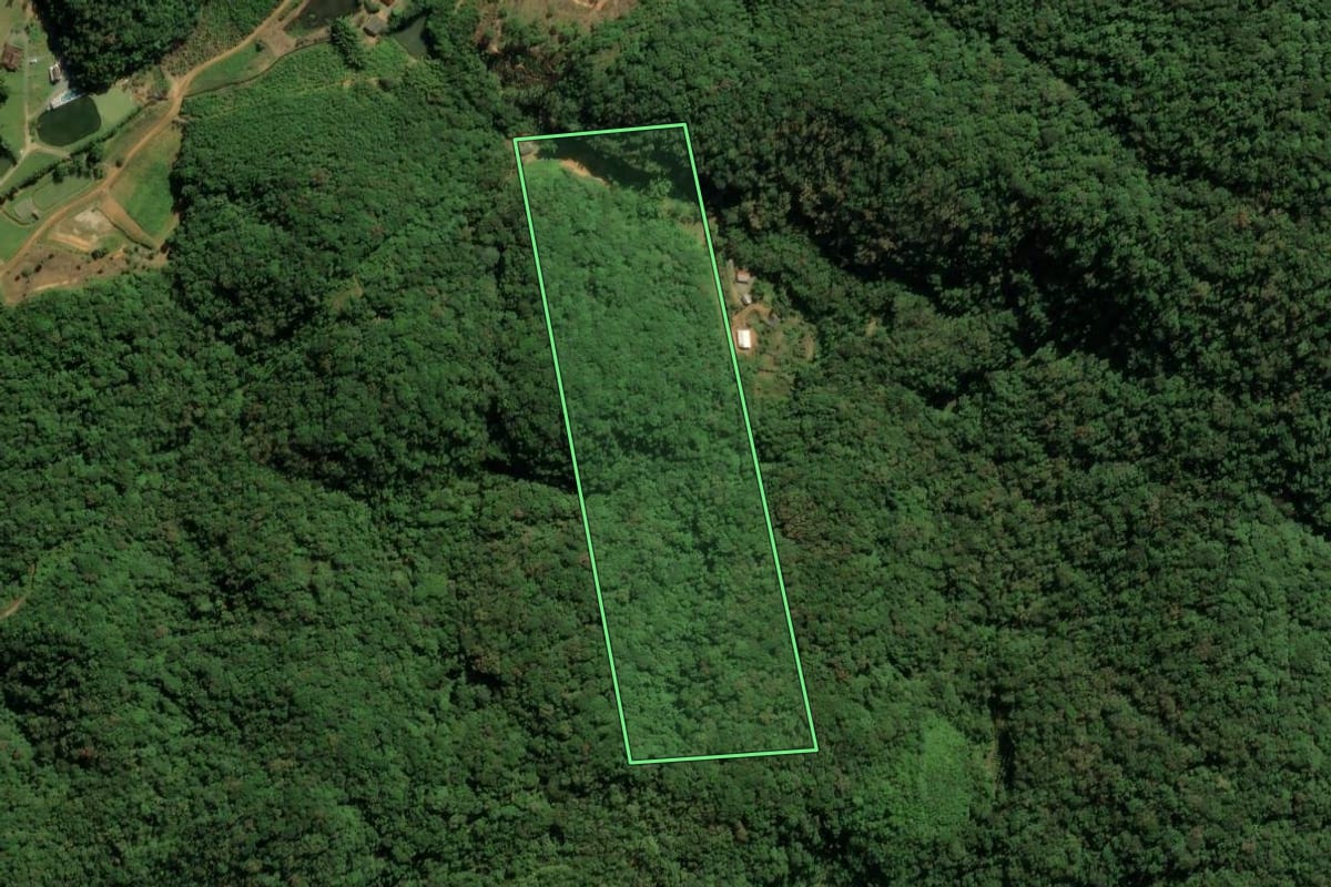 Imagem de satélite do imóvel rural em Guaramirim (SC), com o contorno declarado no CAR desenhado por cima.