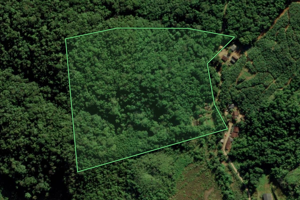 Imagem de satélite do imóvel rural em Guaramirim (SC), com o contorno declarado no CAR desenhado por cima.