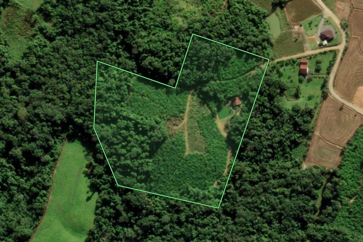 Imagem de satélite do imóvel rural em Guaramirim (SC), com o contorno declarado no CAR desenhado por cima.