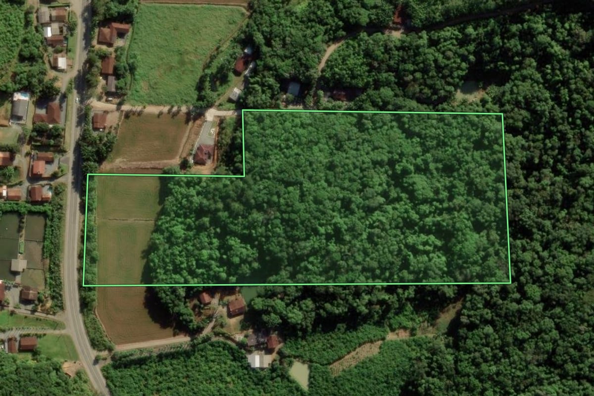 Imagem de satélite do imóvel rural em Guaramirim (SC), com o contorno declarado no CAR desenhado por cima.