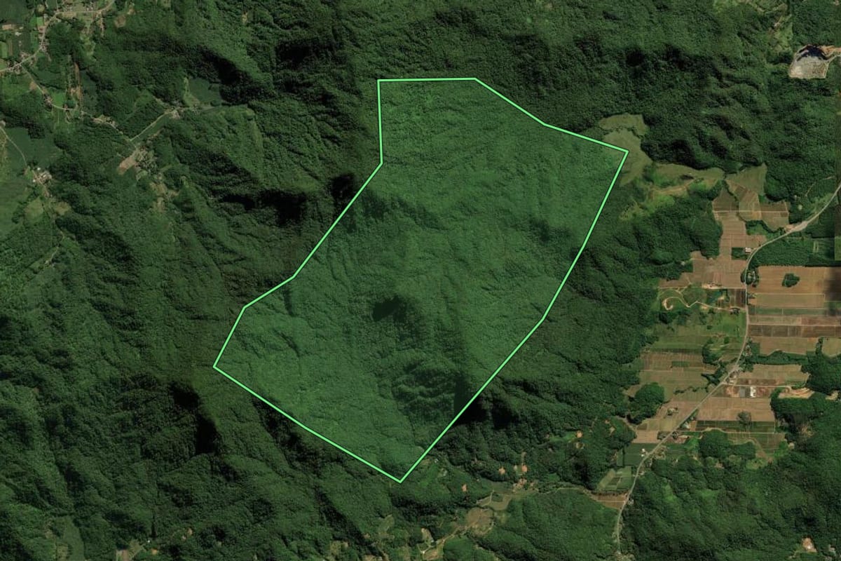 Imagem de satélite do imóvel rural em Guaramirim (SC), com o contorno declarado no CAR desenhado por cima.