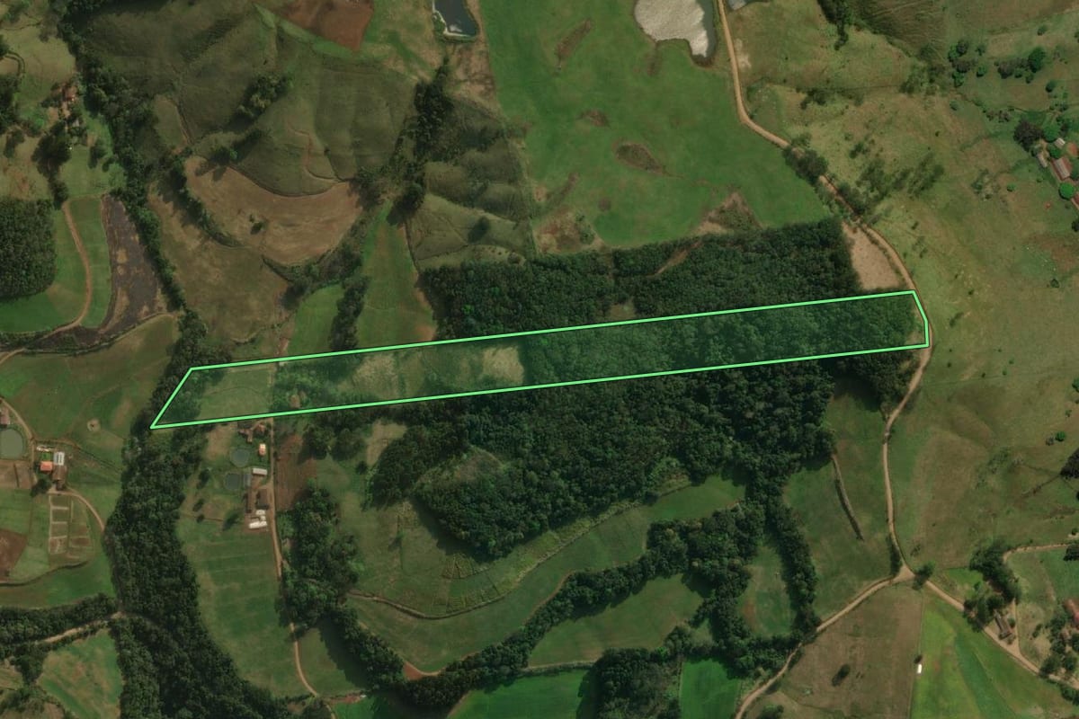 Imagem de satélite do imóvel rural em Guarujá do Sul (SC), com o contorno declarado no CAR desenhado por cima.