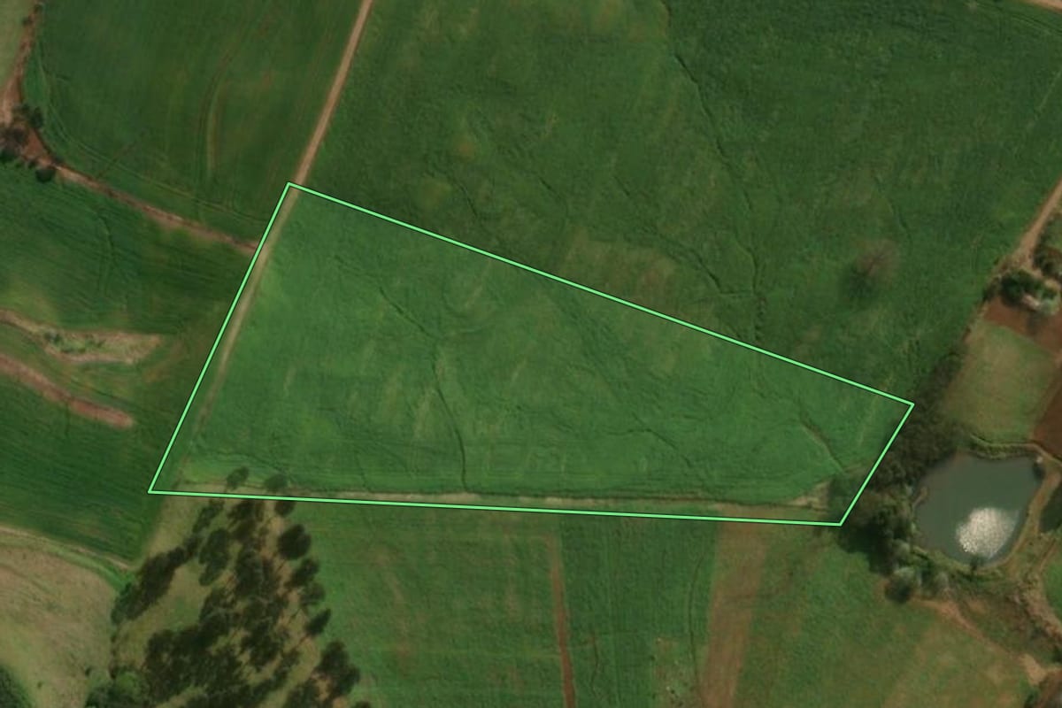 Imagem de satélite do imóvel rural em Guarujá do Sul (SC), com o contorno declarado no CAR desenhado por cima.