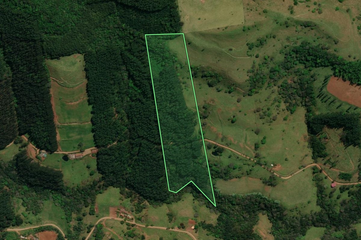 Imagem de satélite do imóvel rural em Guarujá do Sul (SC), com o contorno declarado no CAR desenhado por cima.