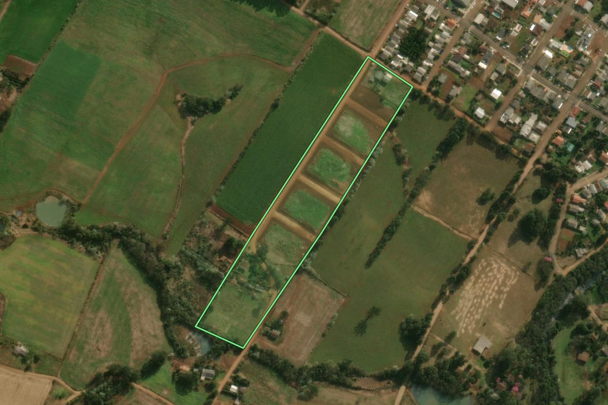 Imagem de satélite do imóvel rural em Guarujá do Sul (SC), com o contorno declarado no CAR desenhado por cima.