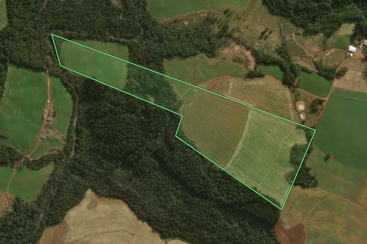 Imagem de satélite do imóvel rural em Guarujá do Sul (SC), com o contorno declarado no CAR desenhado por cima.