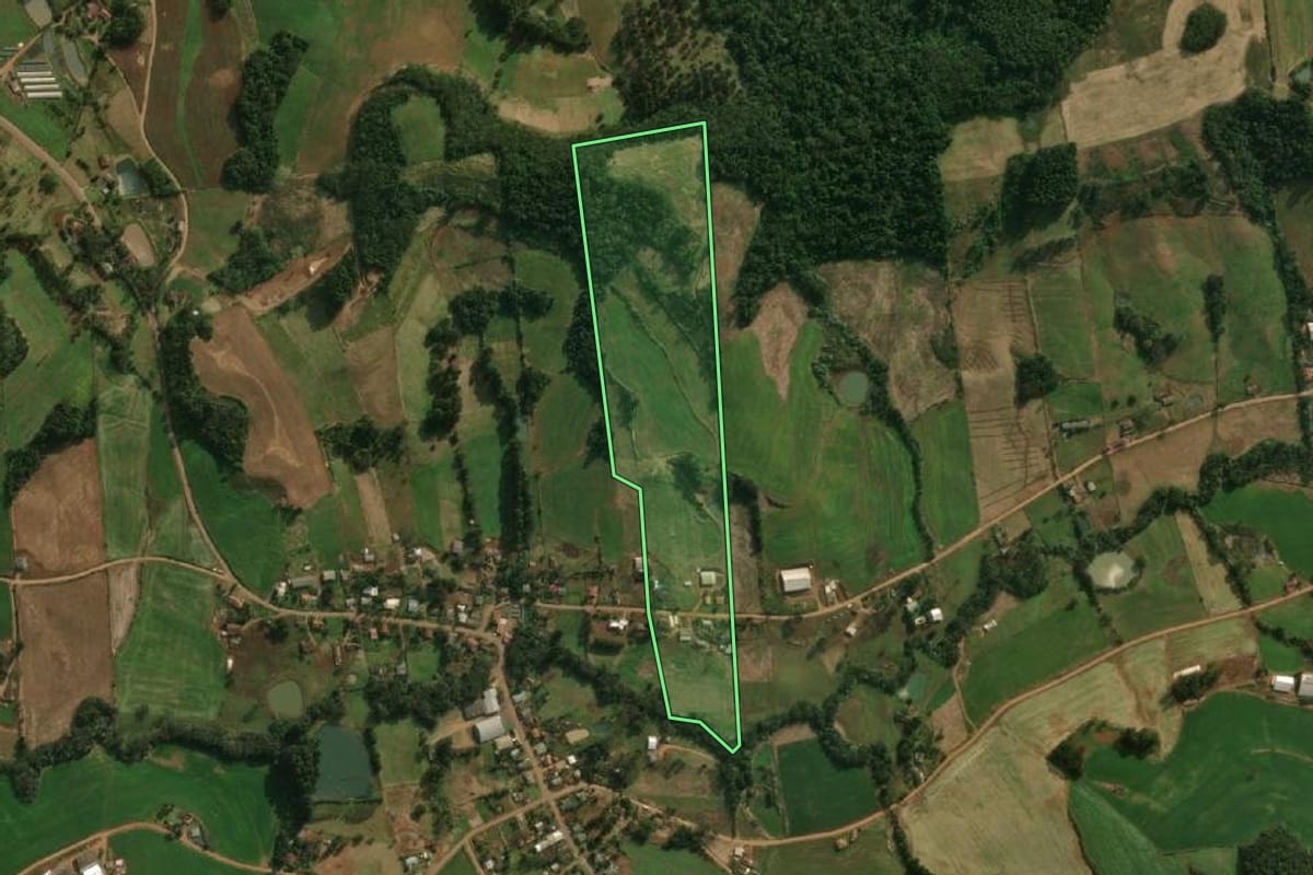 Imagem de satélite do imóvel rural em Guarujá do Sul (SC), com o contorno declarado no CAR desenhado por cima.