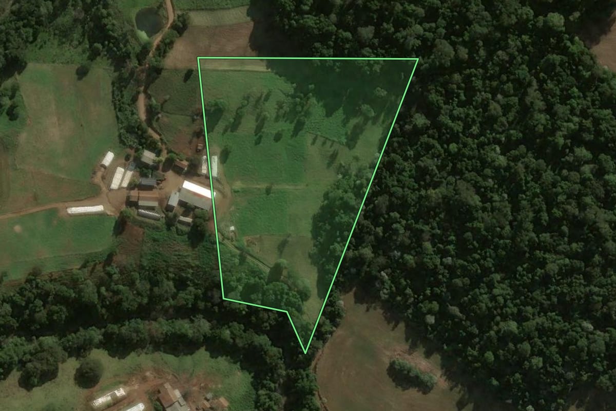 Imagem de satélite do imóvel rural em Guarujá do Sul (SC), com o contorno declarado no CAR desenhado por cima.