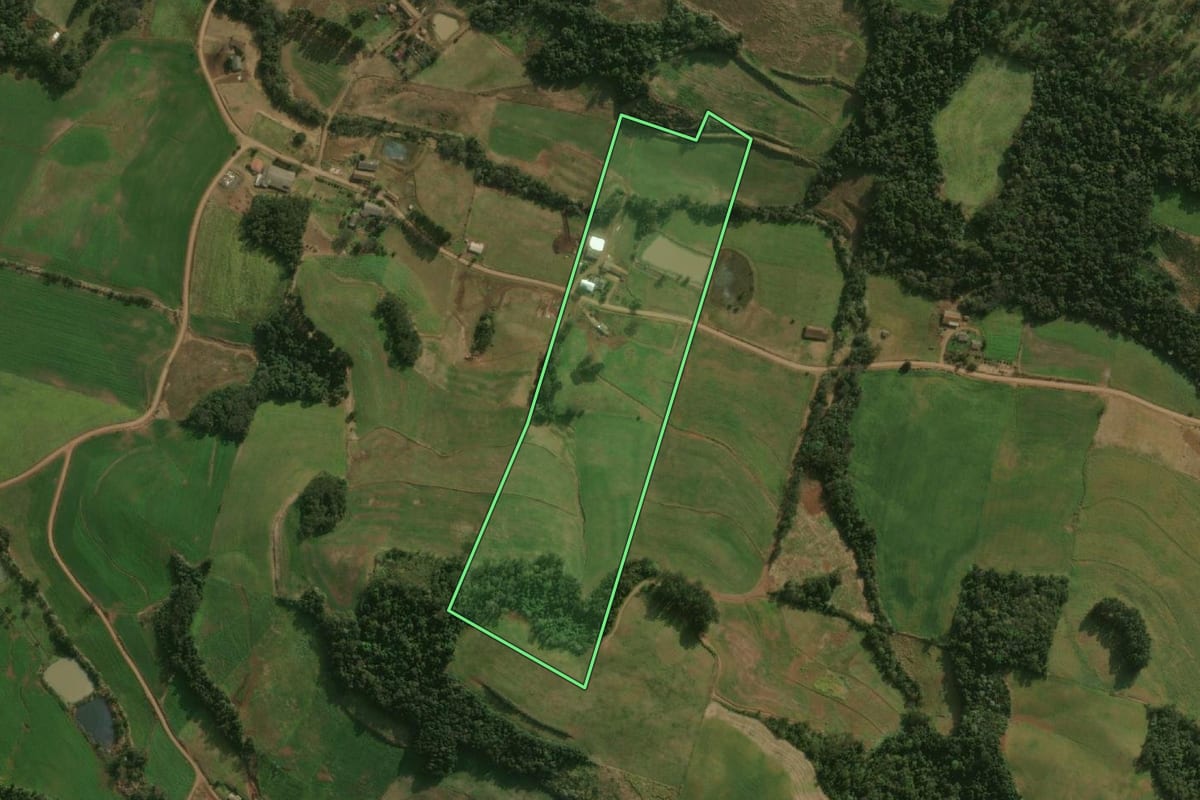 Imagem de satélite do imóvel rural em Guarujá do Sul (SC), com o contorno declarado no CAR desenhado por cima.