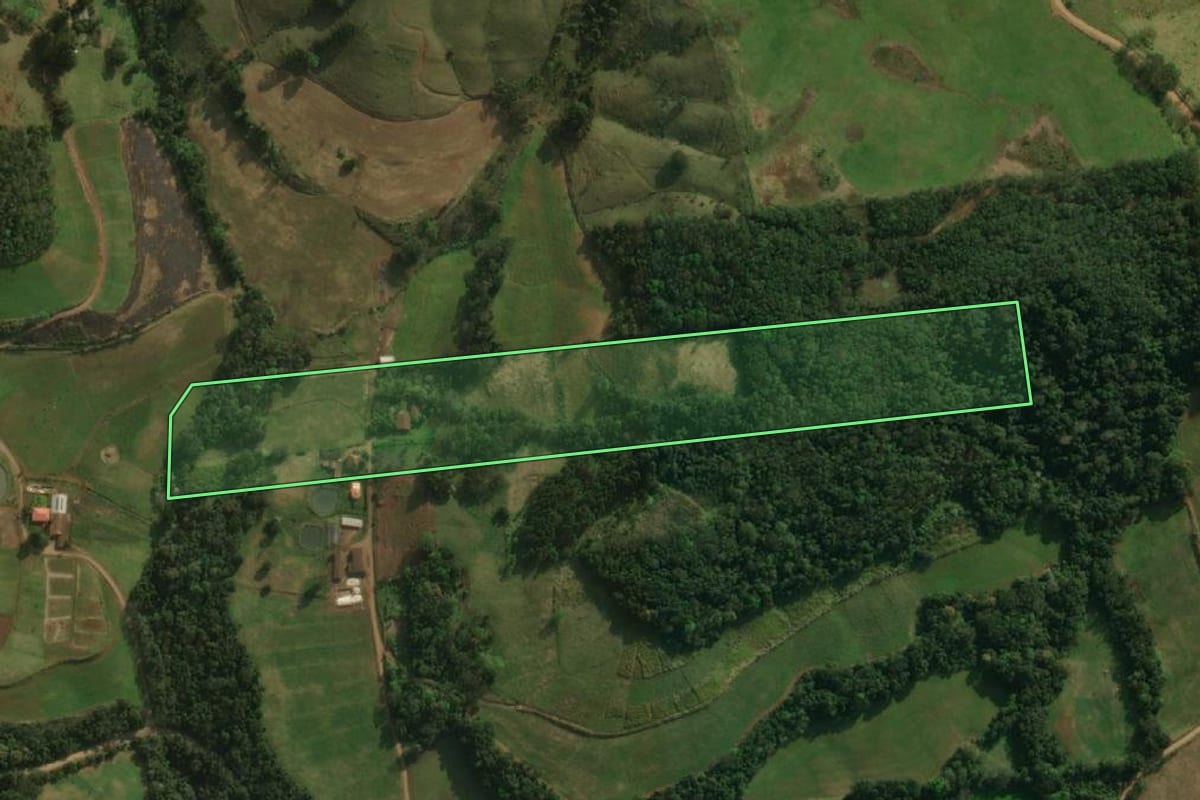 Imagem de satélite do imóvel rural em Guarujá do Sul (SC), com o contorno declarado no CAR desenhado por cima.