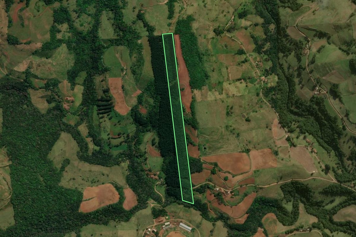Imagem de satélite do imóvel rural em Guarujá do Sul (SC), com o contorno declarado no CAR desenhado por cima.