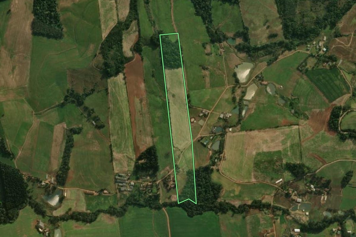 Imagem de satélite do imóvel rural em Guarujá do Sul (SC), com o contorno declarado no CAR desenhado por cima.