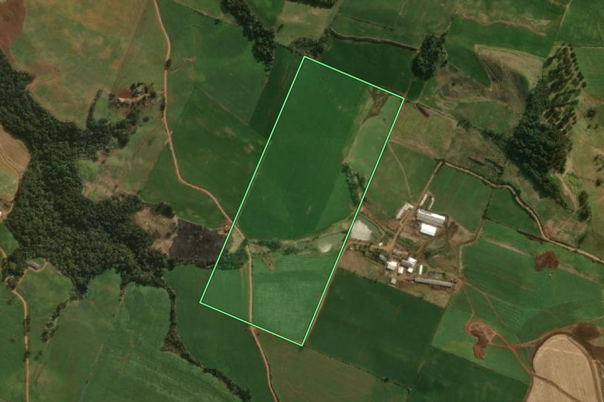 Imagem de satélite do imóvel rural em Guarujá do Sul (SC), com o contorno declarado no CAR desenhado por cima.