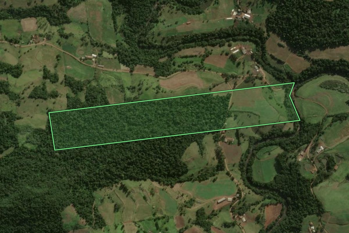 Imagem de satélite do imóvel rural em Guarujá do Sul (SC), com o contorno declarado no CAR desenhado por cima.
