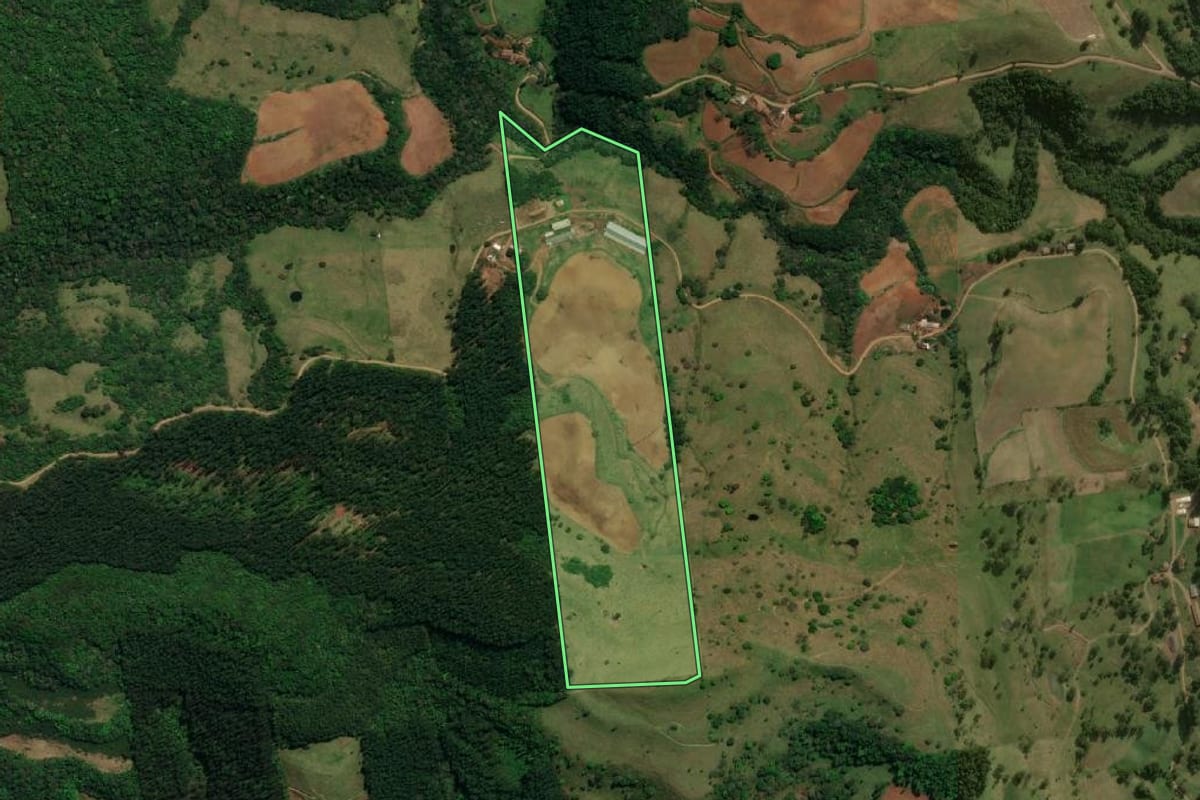 Imagem de satélite do imóvel rural em Guarujá do Sul (SC), com o contorno declarado no CAR desenhado por cima.