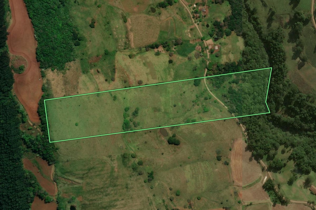 Imagem de satélite do imóvel rural em Guarujá do Sul (SC), com o contorno declarado no CAR desenhado por cima.