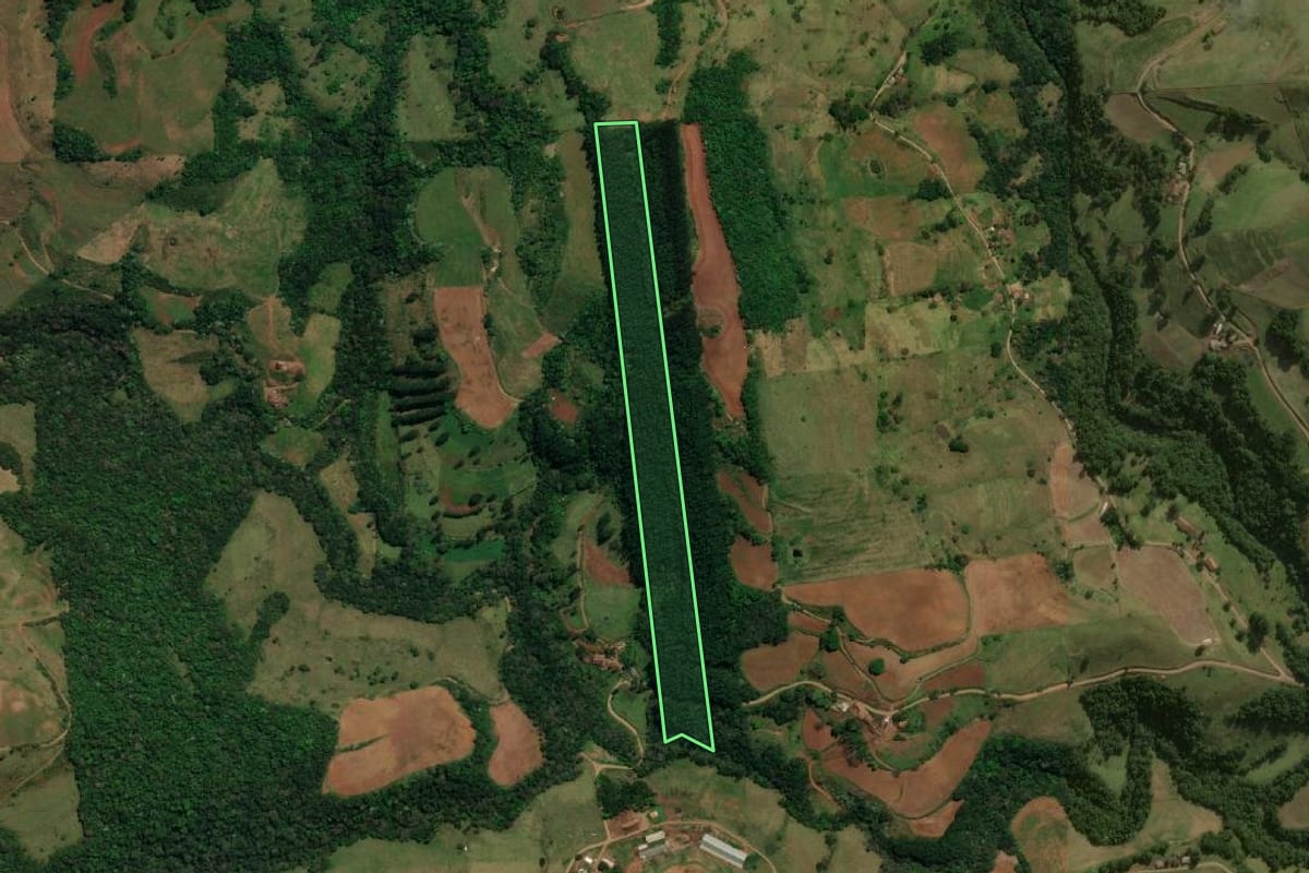 Imagem de satélite do imóvel rural em Guarujá do Sul (SC), com o contorno declarado no CAR desenhado por cima.