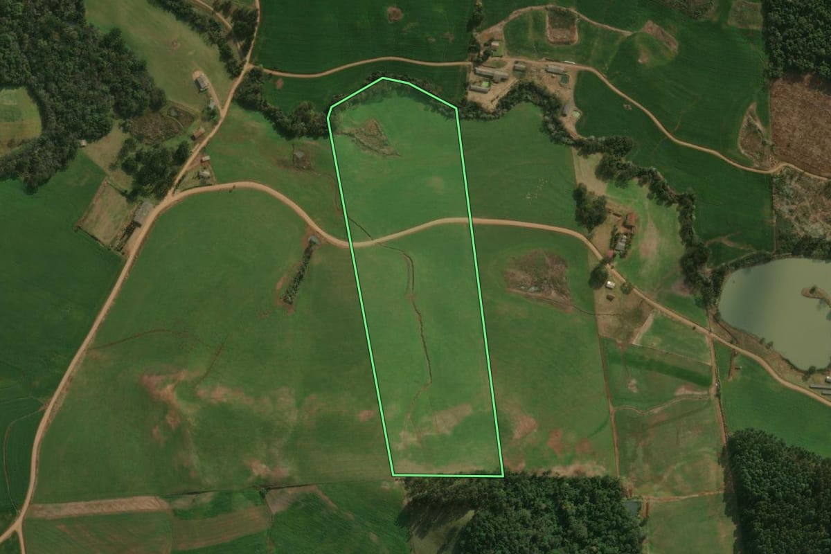 Imagem de satélite do imóvel rural em Guarujá do Sul (SC), com o contorno declarado no CAR desenhado por cima.