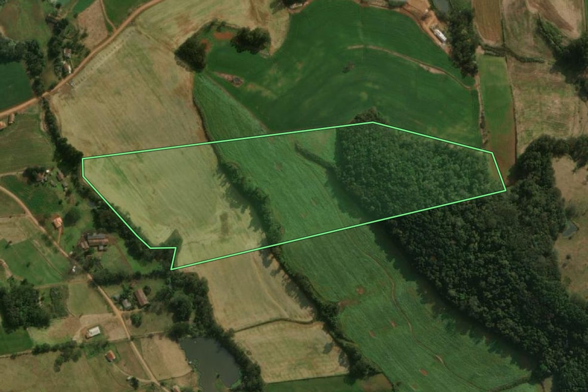 Imagem de satélite do imóvel rural em Guarujá do Sul (SC), com o contorno declarado no CAR desenhado por cima.
