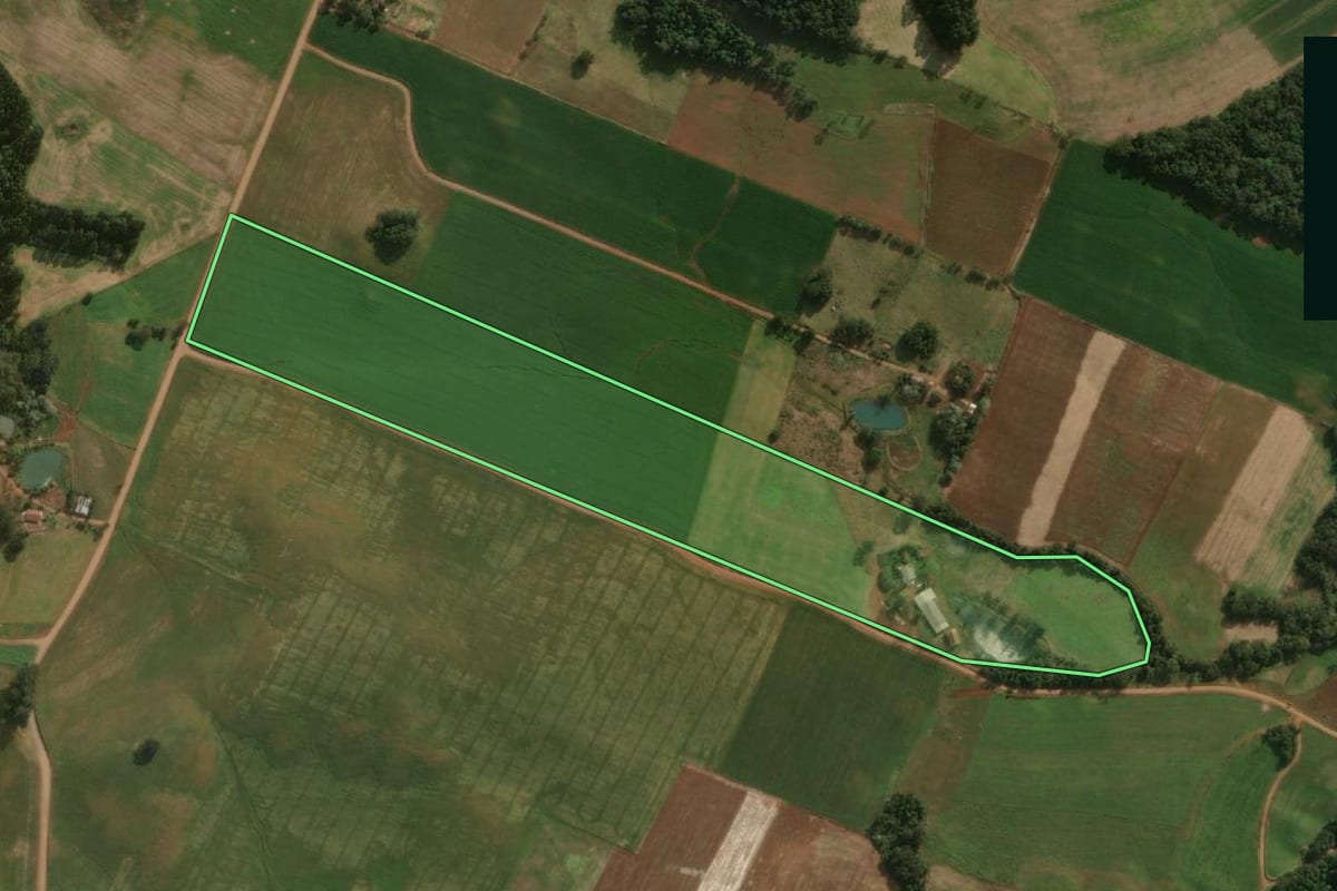 Imagem de satélite do imóvel rural em Guarujá do Sul (SC), com o contorno declarado no CAR desenhado por cima.