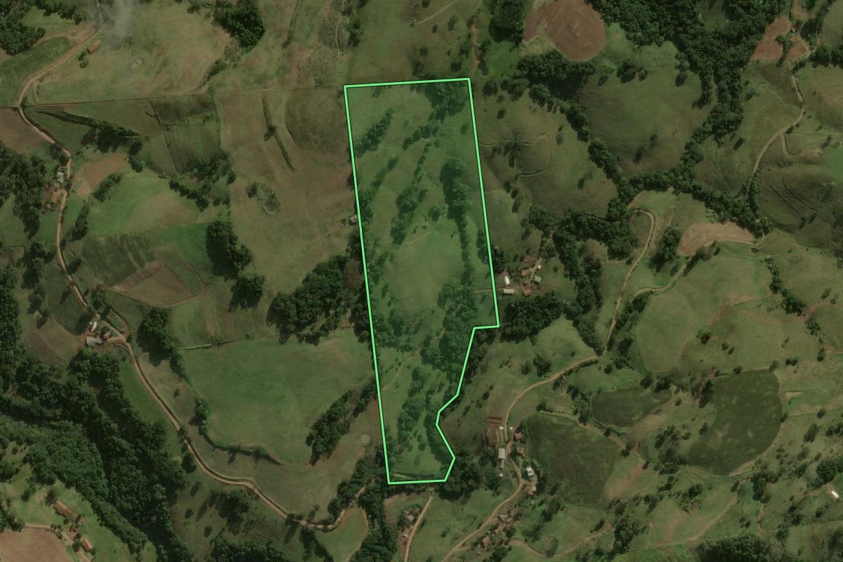Imagem de satélite do imóvel rural em Guarujá do Sul (SC), com o contorno declarado no CAR desenhado por cima.