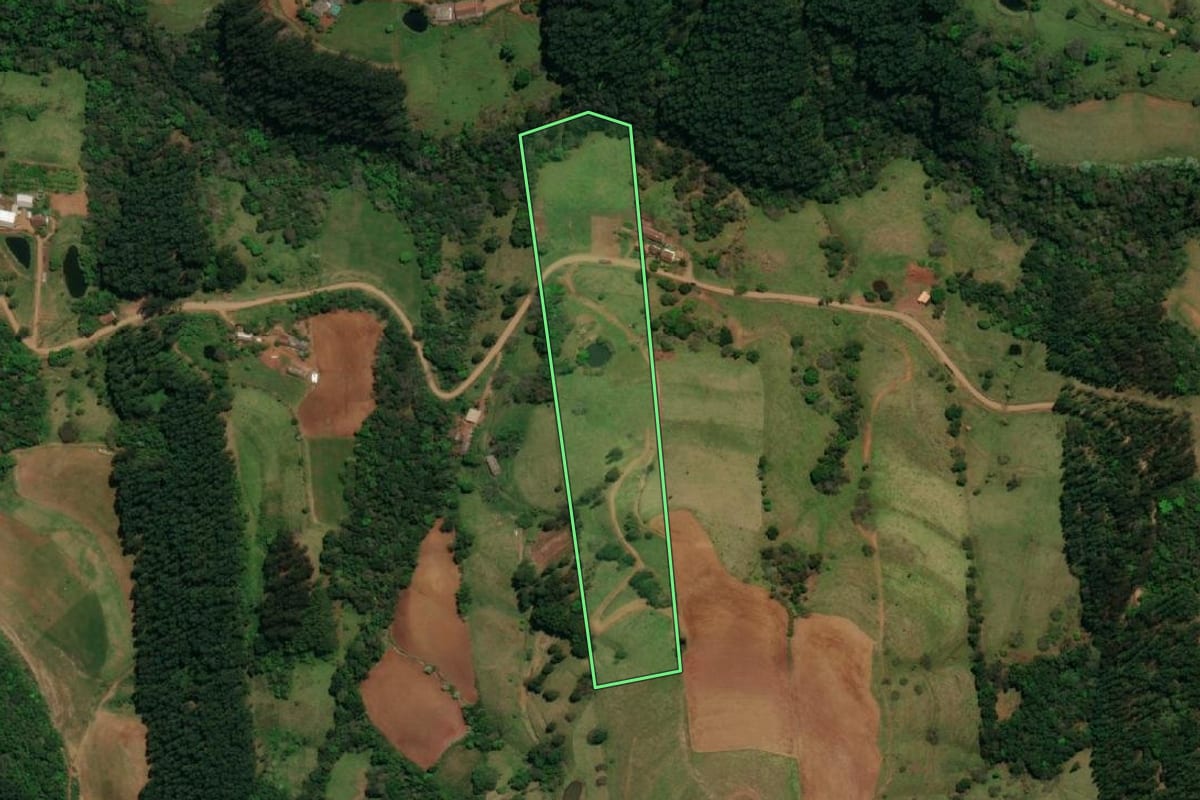 Imagem de satélite do imóvel rural em Guarujá do Sul (SC), com o contorno declarado no CAR desenhado por cima.