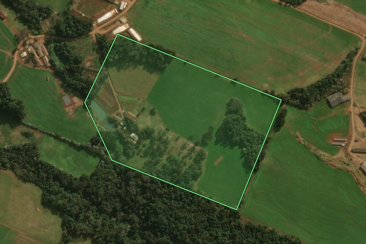 Imagem de satélite do imóvel rural em Guarujá do Sul (SC), com o contorno declarado no CAR desenhado por cima.