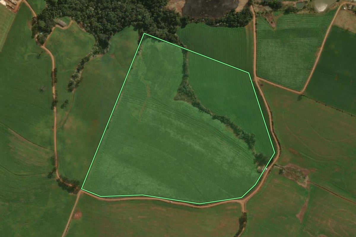 Imagem de satélite do imóvel rural em Guarujá do Sul (SC), com o contorno declarado no CAR desenhado por cima.