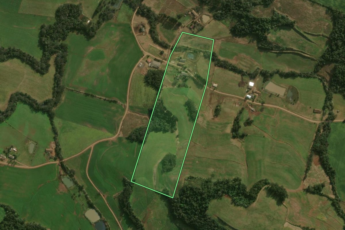 Imagem de satélite do imóvel rural em Guarujá do Sul (SC), com o contorno declarado no CAR desenhado por cima.