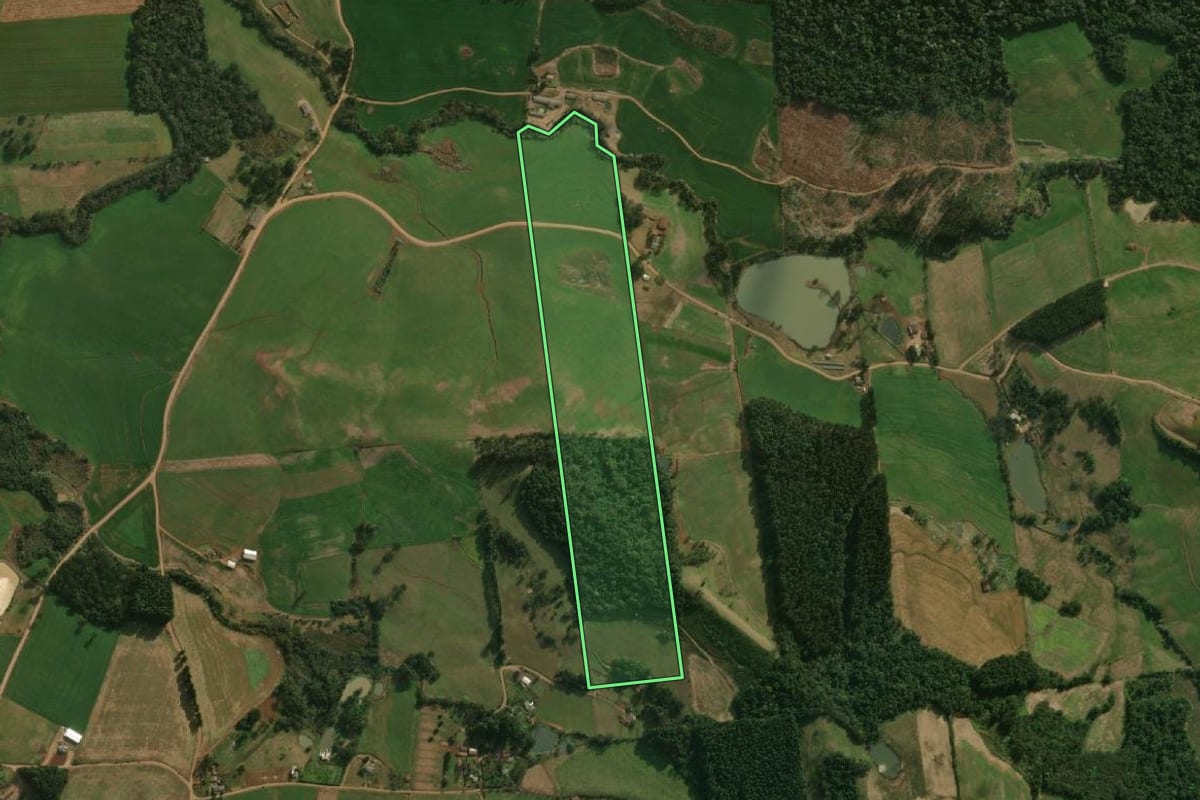 Imagem de satélite do imóvel rural em Guarujá do Sul (SC), com o contorno declarado no CAR desenhado por cima.