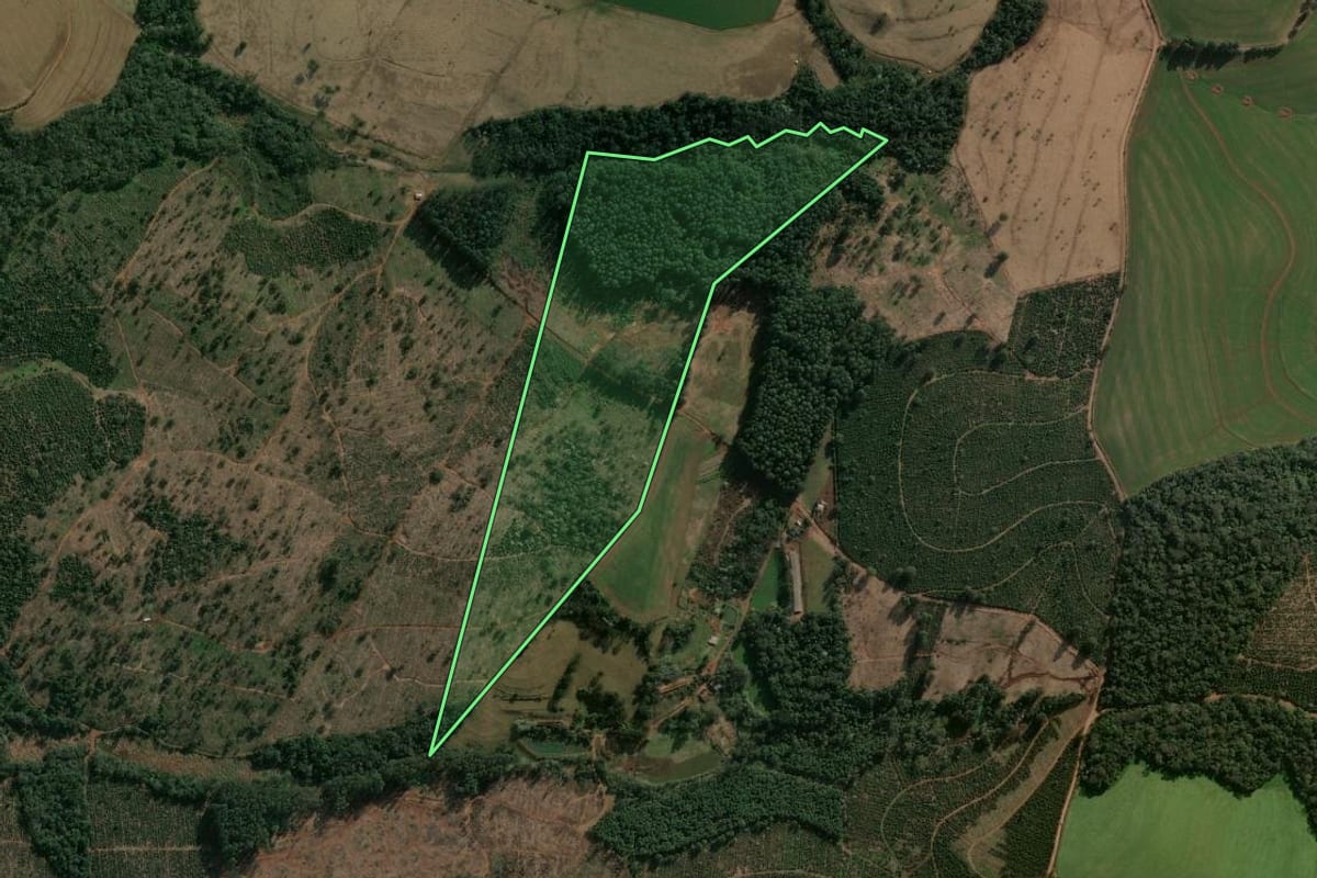 Imagem de satélite do imóvel rural em Guatambú (SC), com o contorno declarado no CAR desenhado por cima.