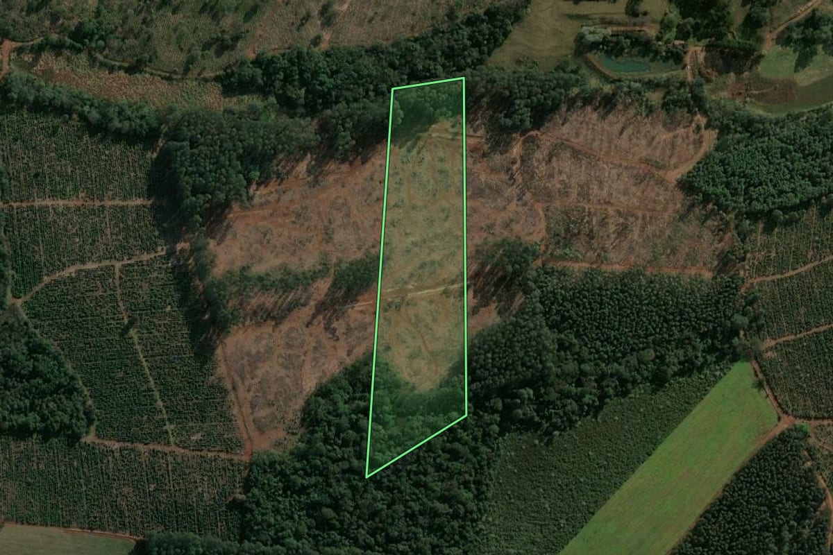 Imagem de satélite do imóvel rural em Guatambú (SC), com o contorno declarado no CAR desenhado por cima.