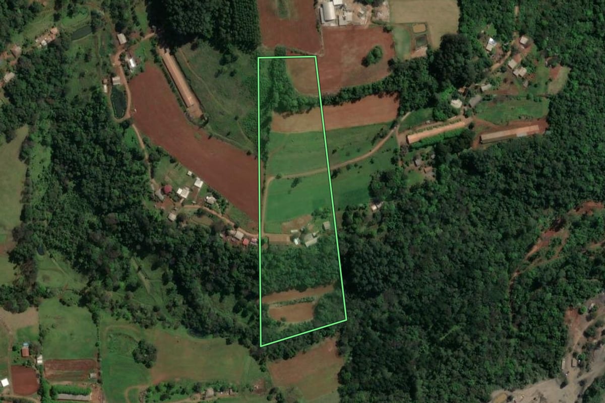 Imagem de satélite do imóvel rural em Guatambú (SC), com o contorno declarado no CAR desenhado por cima.