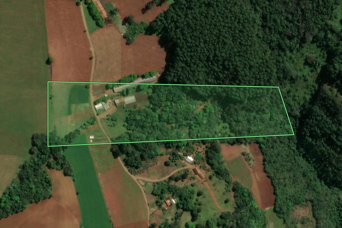 Imagem de satélite do imóvel rural em Guatambú (SC), com o contorno declarado no CAR desenhado por cima.