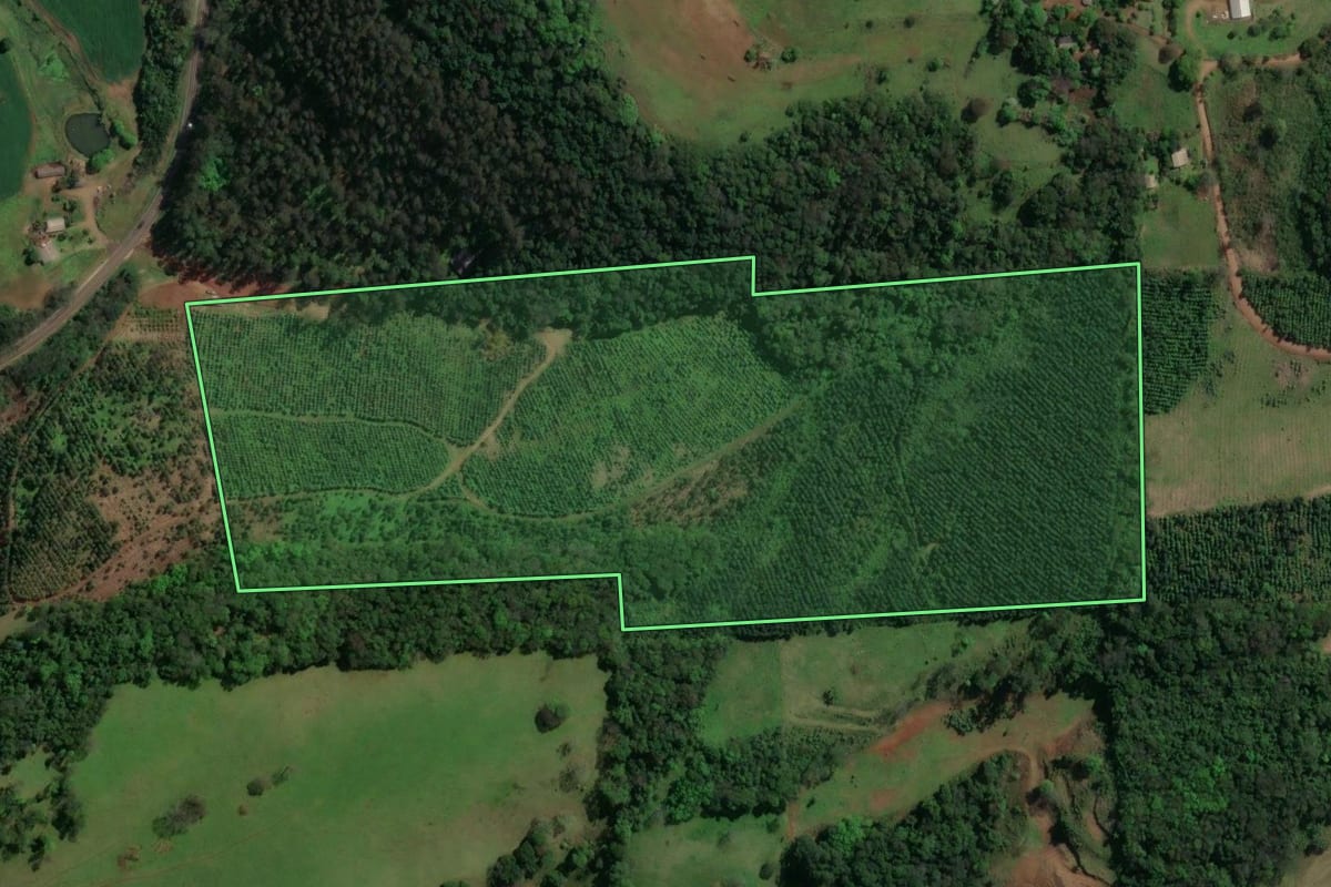 Imagem de satélite do imóvel rural em Guatambú (SC), com o contorno declarado no CAR desenhado por cima.