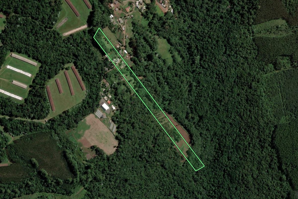 Imagem de satélite do imóvel rural em Guatambú (SC), com o contorno declarado no CAR desenhado por cima.