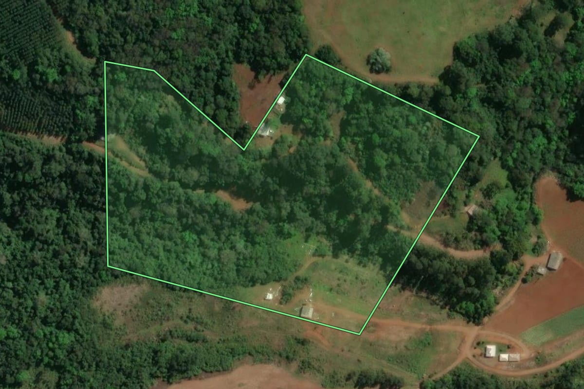 Imagem de satélite do imóvel rural em Guatambú (SC), com o contorno declarado no CAR desenhado por cima.