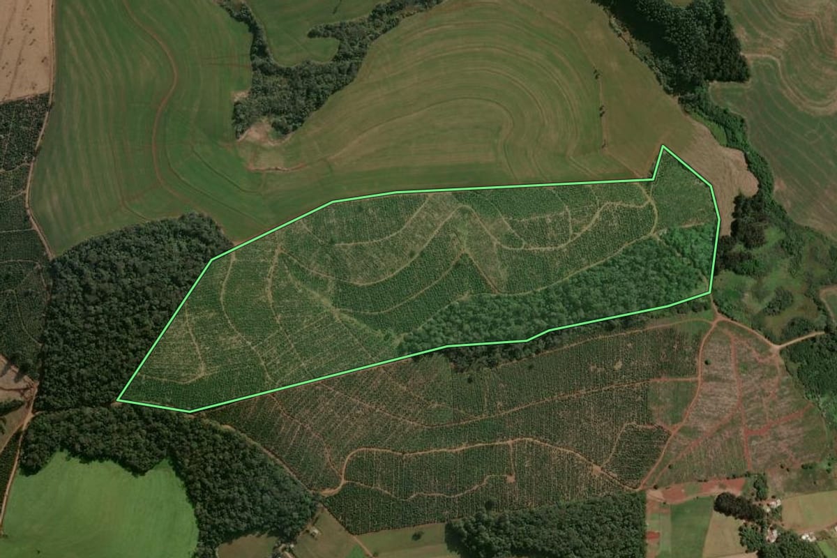 Imagem de satélite do imóvel rural em Guatambú (SC), com o contorno declarado no CAR desenhado por cima.