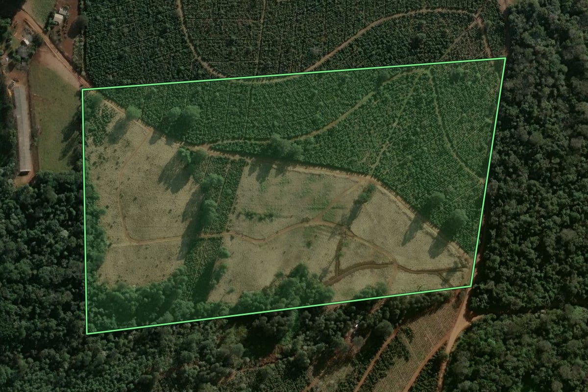 Imagem de satélite do imóvel rural em Guatambú (SC), com o contorno declarado no CAR desenhado por cima.