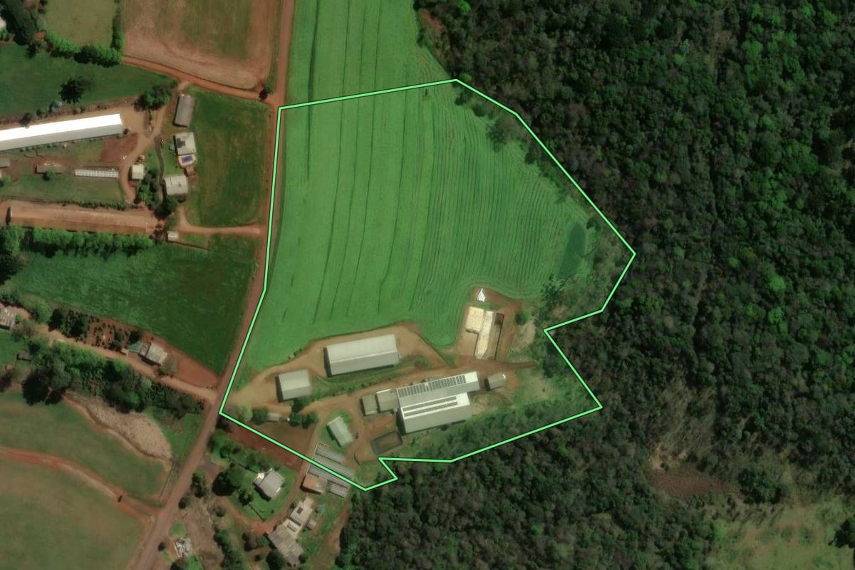 Imagem de satélite do imóvel rural em Guatambú (SC), com o contorno declarado no CAR desenhado por cima.