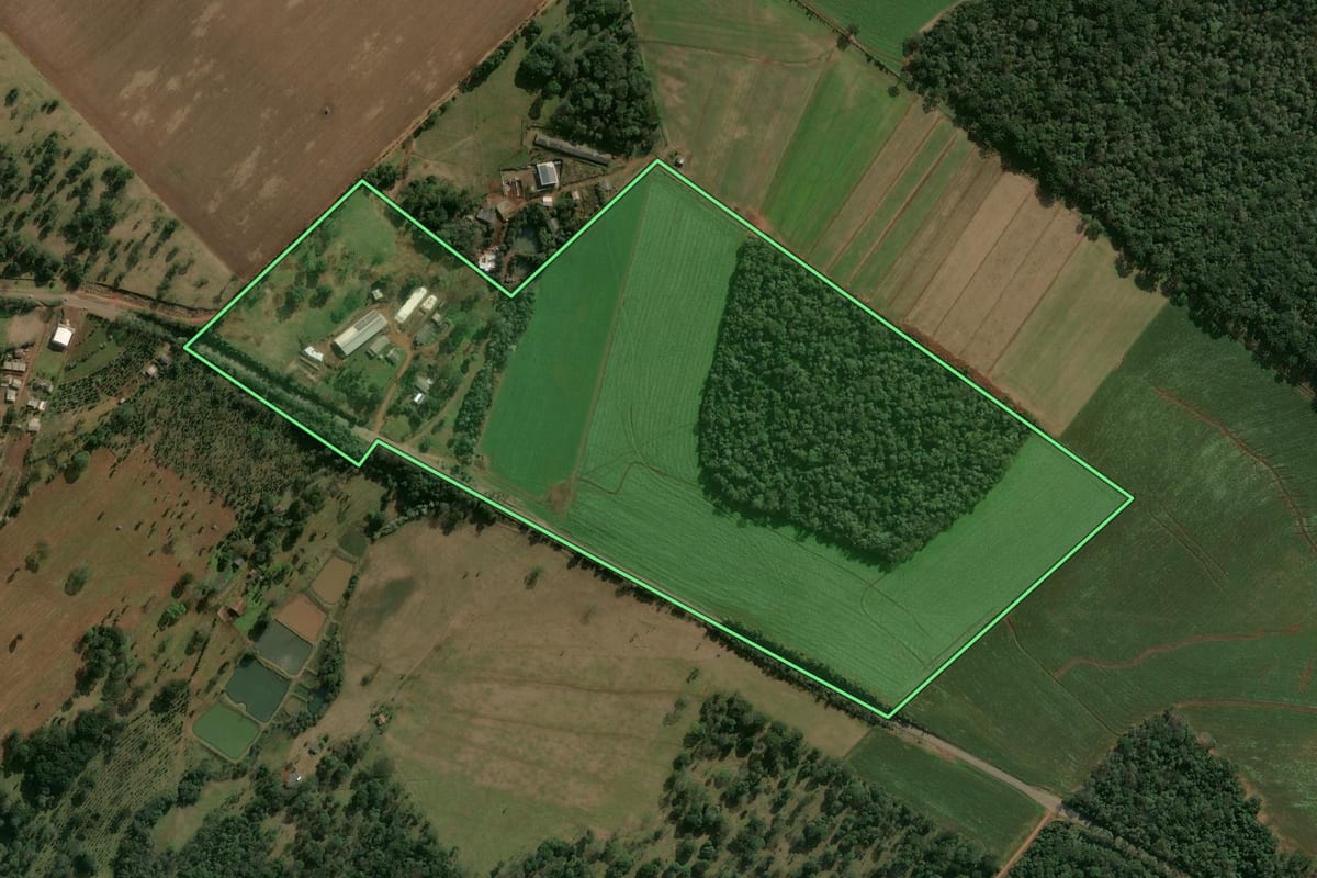 Imagem de satélite do imóvel rural em Guatambú (SC), com o contorno declarado no CAR desenhado por cima.