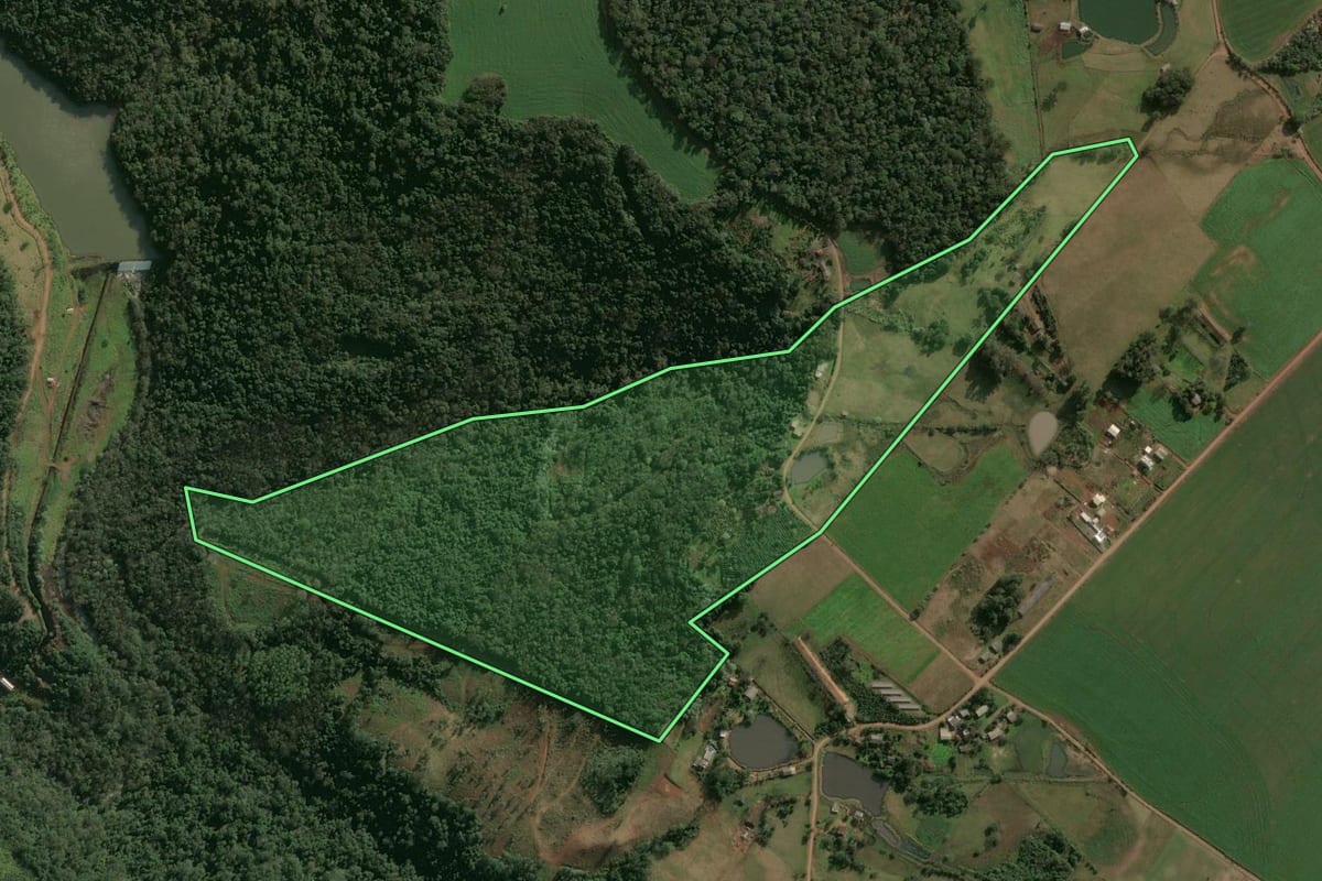 Imagem de satélite do imóvel rural em Guatambú (SC), com o contorno declarado no CAR desenhado por cima.