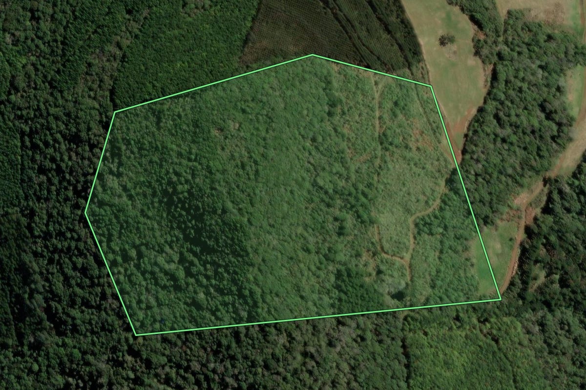 Imagem de satélite do imóvel rural em Herval d'Oeste (SC), com o contorno declarado no CAR desenhado por cima.
