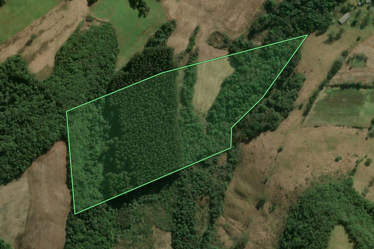 Imagem de satélite do imóvel rural em Herval d'Oeste (SC), com o contorno declarado no CAR desenhado por cima.