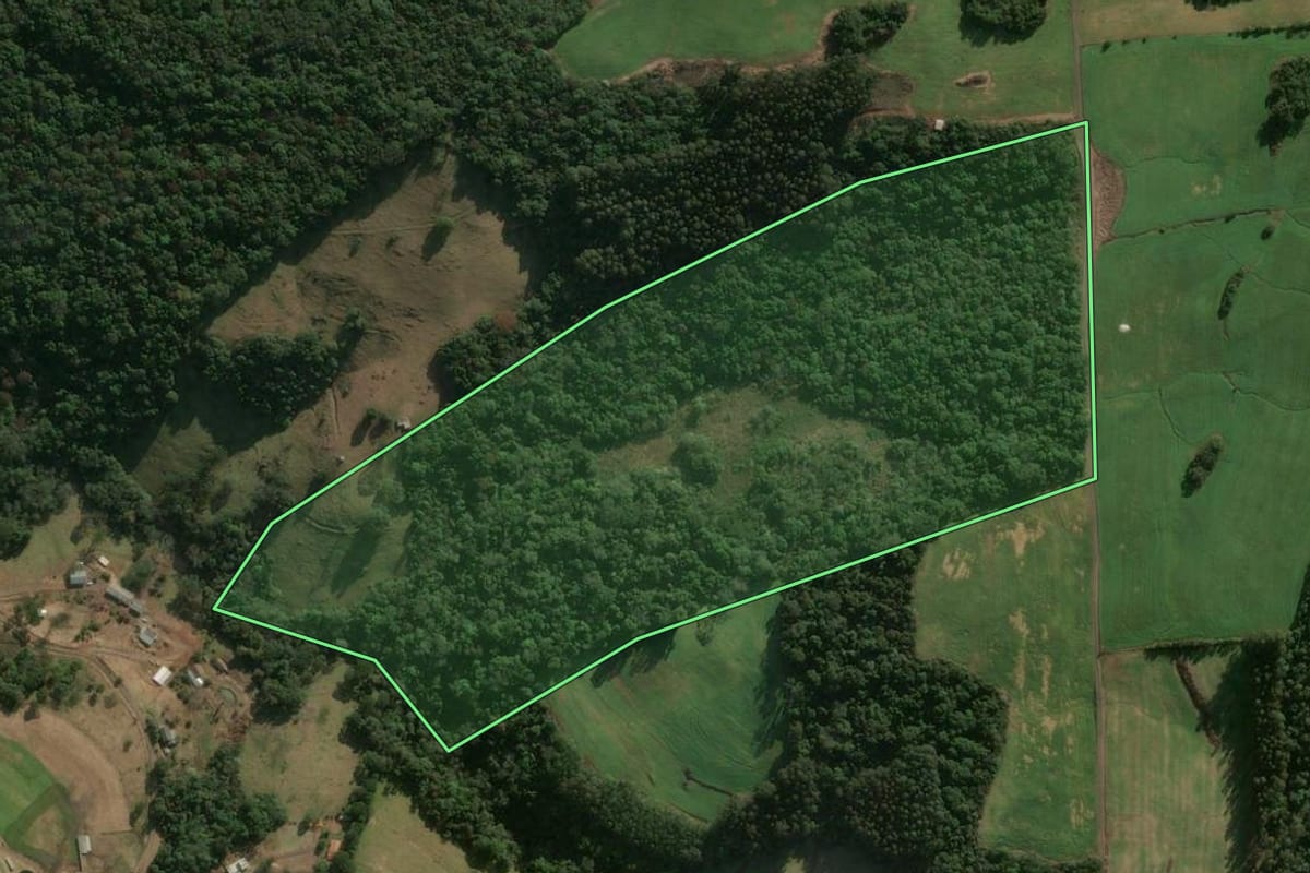 Imagem de satélite do imóvel rural em Herval d'Oeste (SC), com o contorno declarado no CAR desenhado por cima.