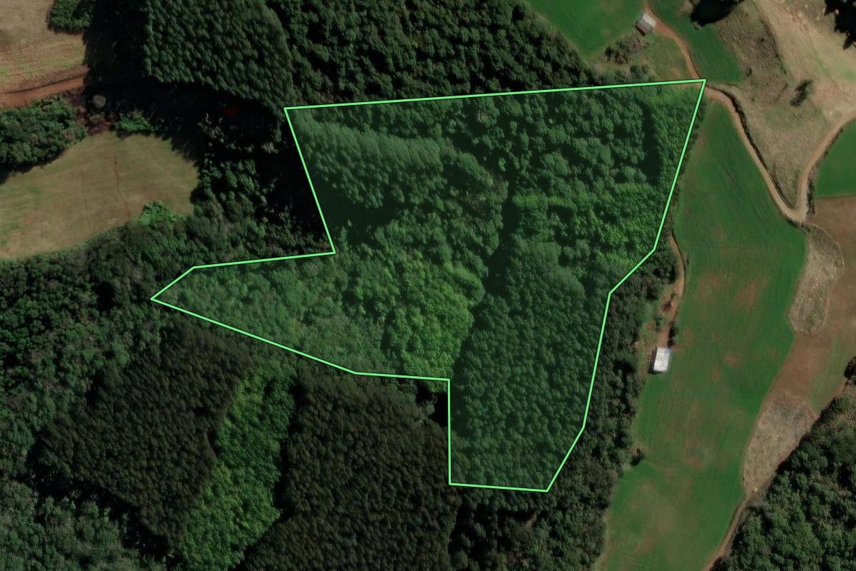 Imagem de satélite do imóvel rural em Herval d'Oeste (SC), com o contorno declarado no CAR desenhado por cima.