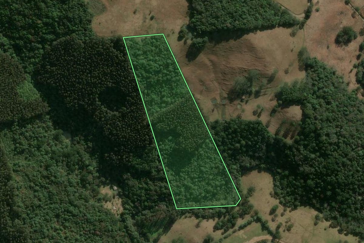 Imagem de satélite do imóvel rural em Herval d'Oeste (SC), com o contorno declarado no CAR desenhado por cima.
