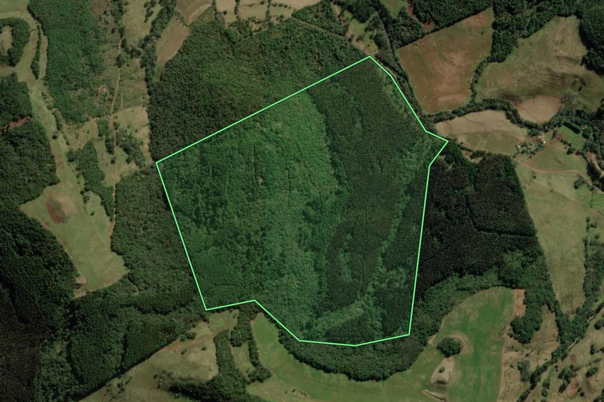 Imagem de satélite do imóvel rural em Herval d'Oeste (SC), com o contorno declarado no CAR desenhado por cima.