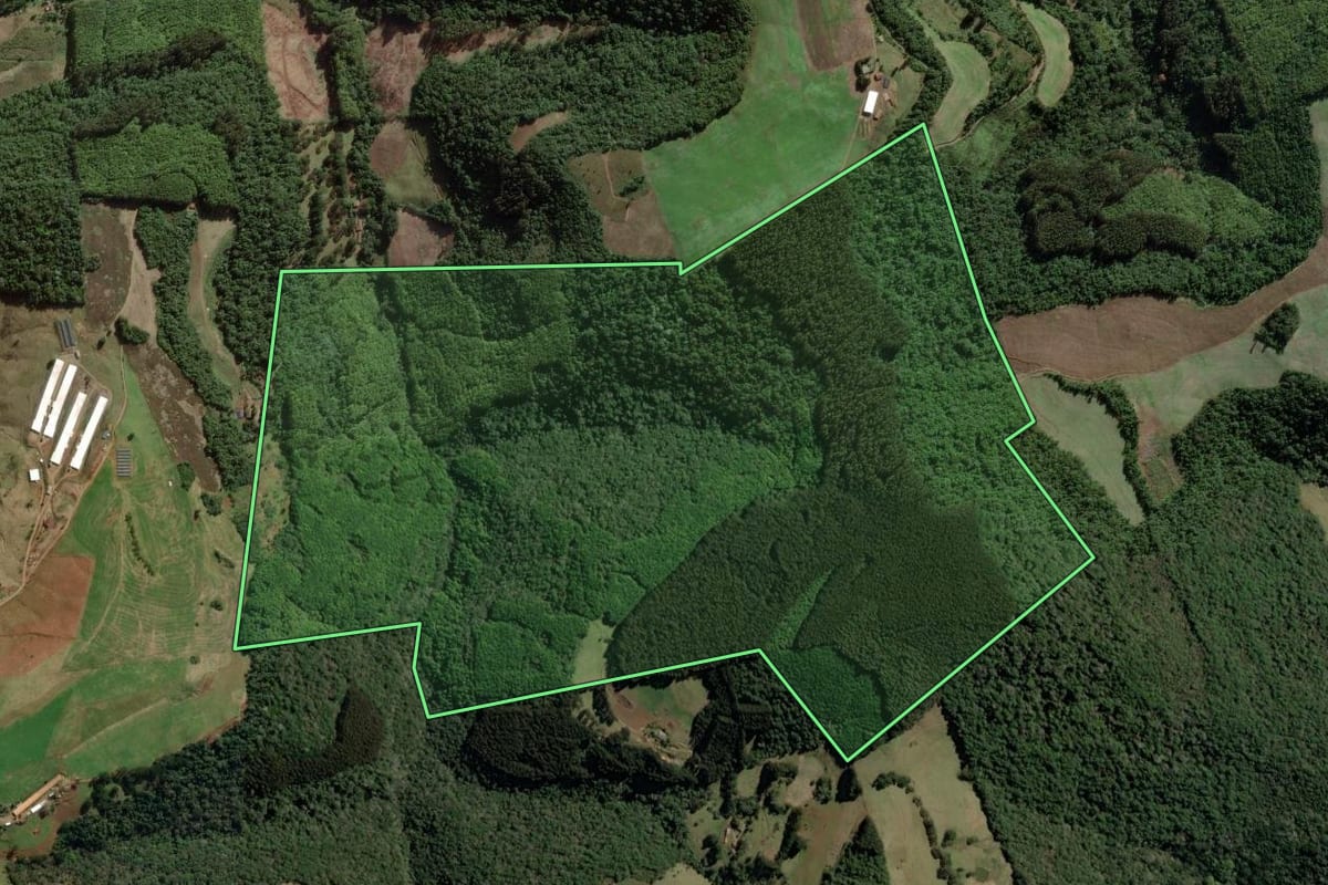 Imagem de satélite do imóvel rural em Herval d'Oeste (SC), com o contorno declarado no CAR desenhado por cima.