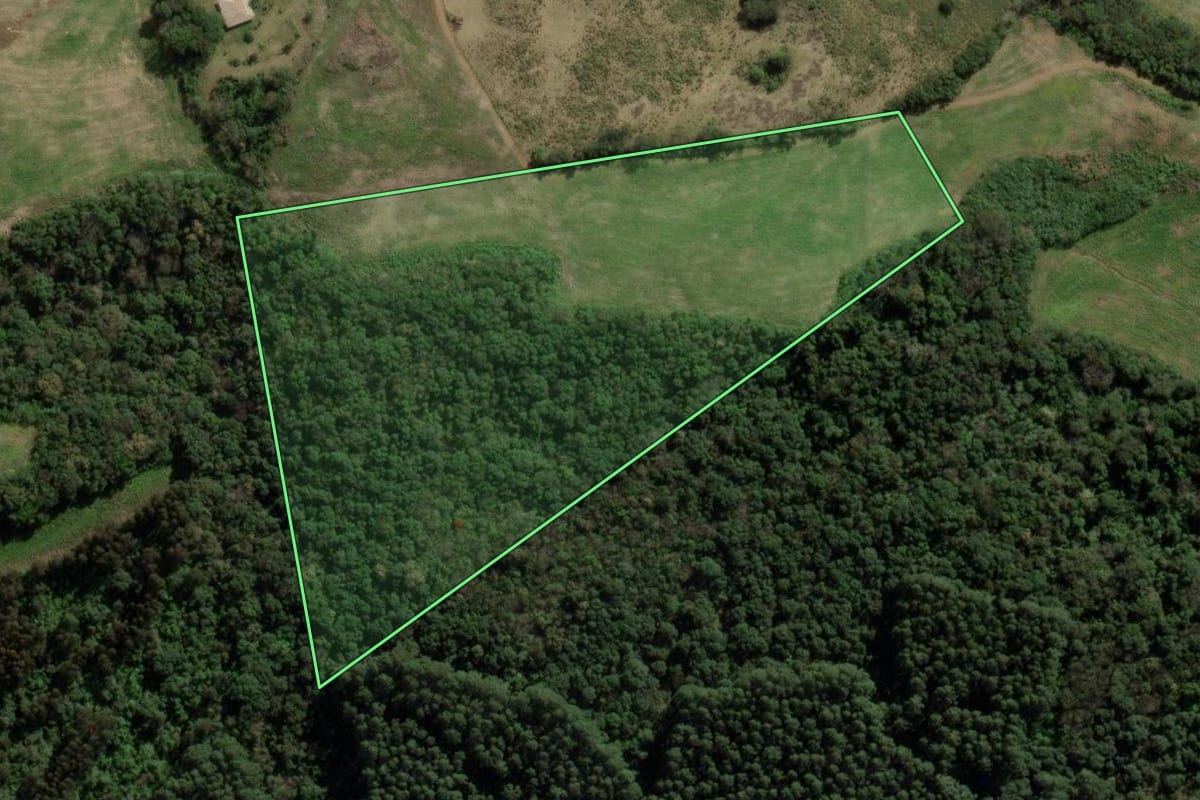 Imagem de satélite do imóvel rural em Herval d'Oeste (SC), com o contorno declarado no CAR desenhado por cima.